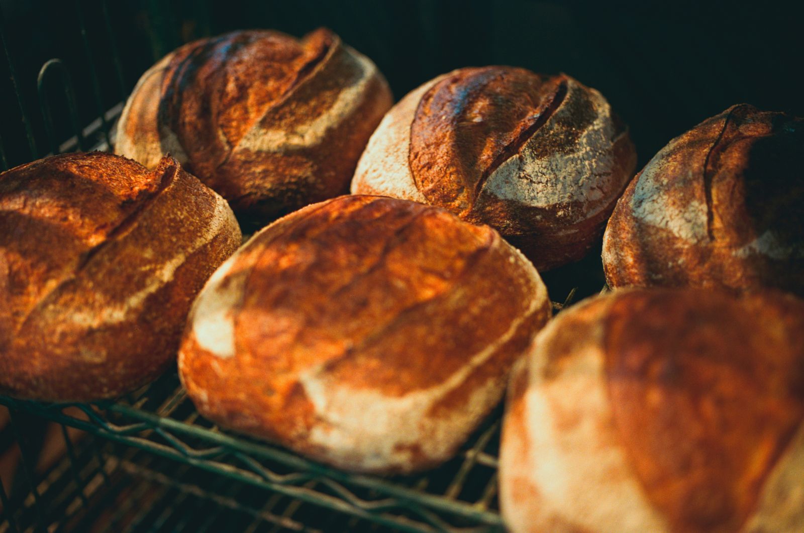 Fresh loaves of bread